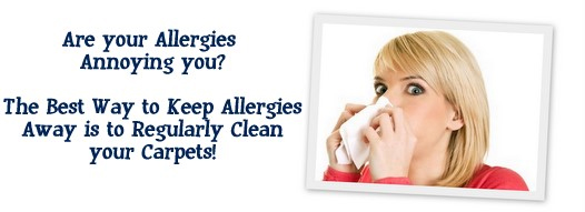 Carpet Cleaning San Mateo