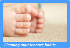 San Mateo Carpet Cleaning