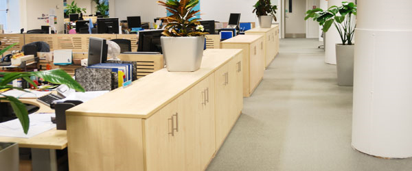 Commercial Carpet Cleaning San Mateo