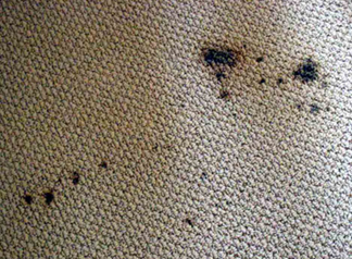 Spot & Stain Removal San Mateo