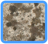 San Mateo Water Damage Restoration